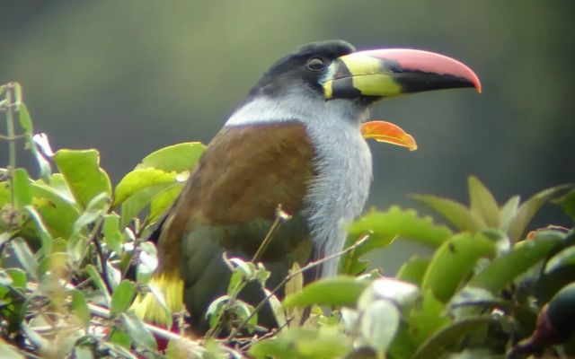 GUANGO LODGE 2D/1N TOUR