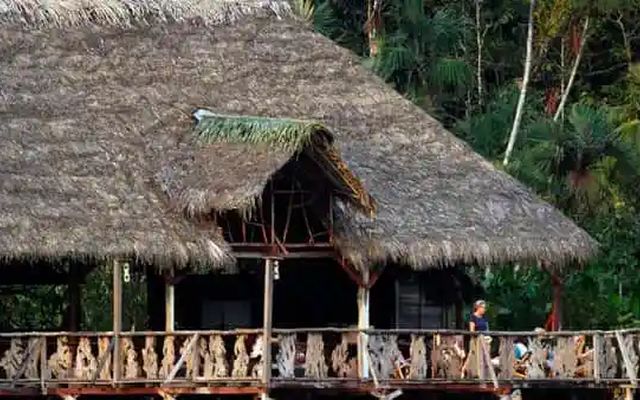 Sacha Lodge 5D/4N and 4D/3N Tours