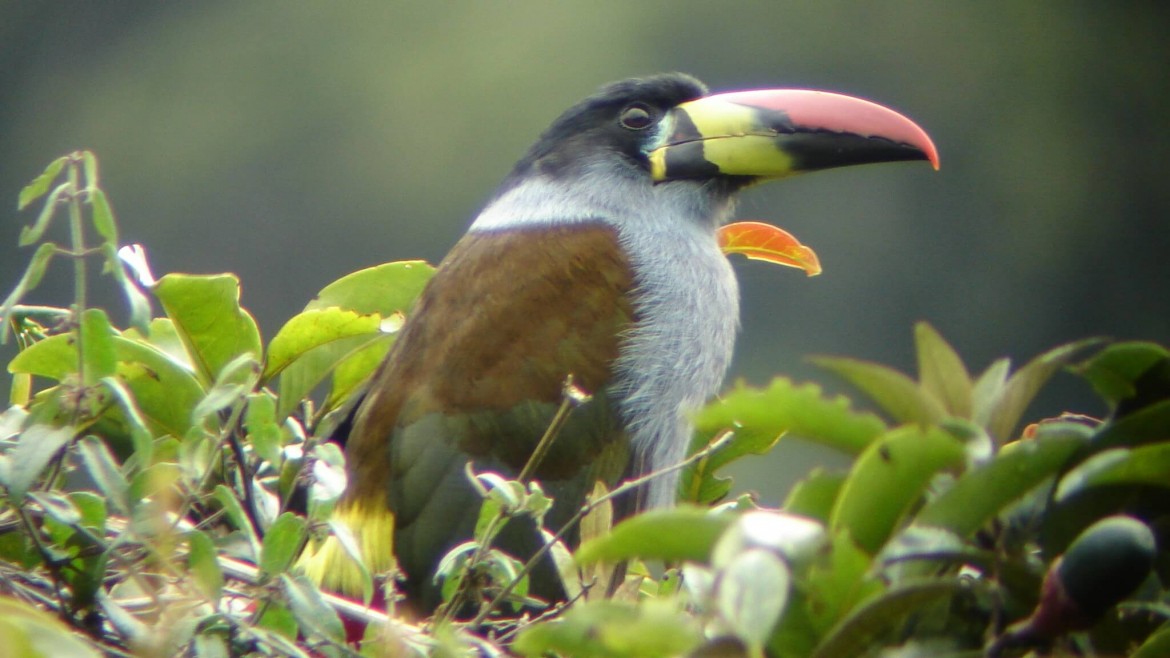 GUANGO LODGE 2D/1N TOUR