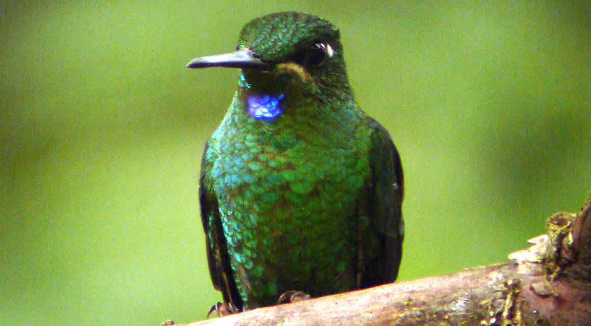 TINALANDIA RESERVE 2D/1N