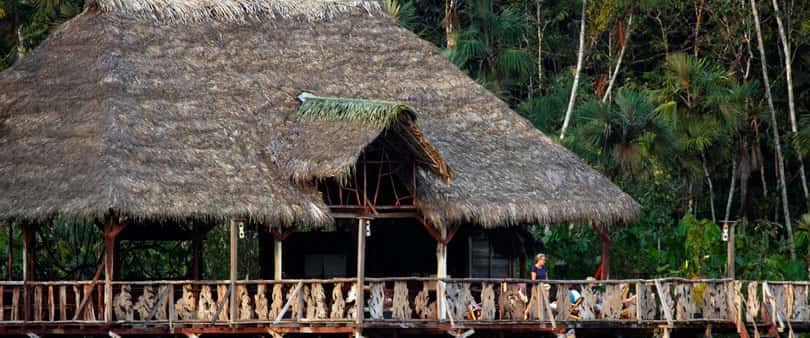 Sacha Lodge 5D/4N and 4D/3N Tours